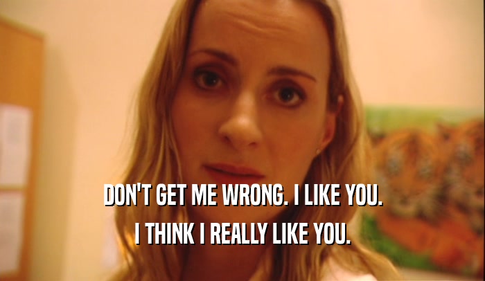 DON'T GET ME WRONG. I LIKE YOU. I THINK I REALLY LIKE YOU. 