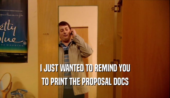 I JUST WANTED TO REMIND YOU TO PRINT THE PROPOSAL DOCS 