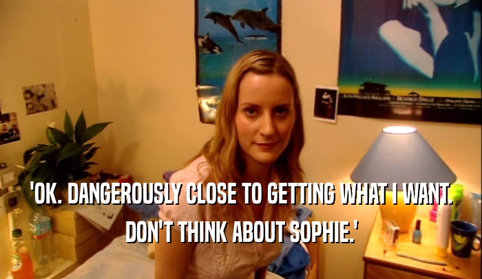 'OK. DANGEROUSLY CLOSE TO GETTING WHAT I WANT. DON'T THINK ABOUT SOPHIE.' 