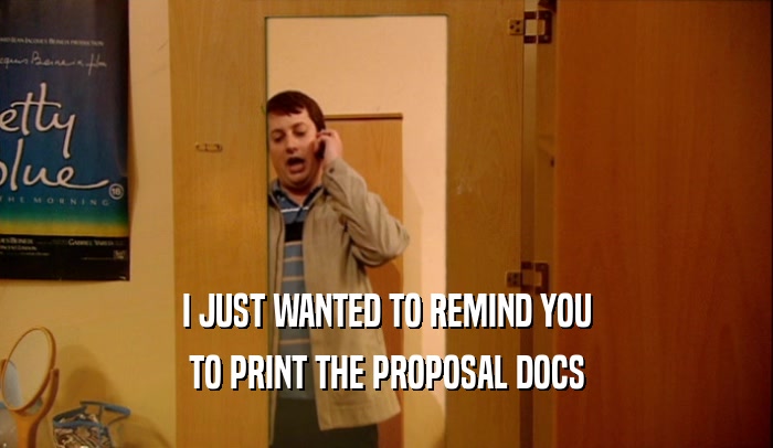 I JUST WANTED TO REMIND YOU TO PRINT THE PROPOSAL DOCS 