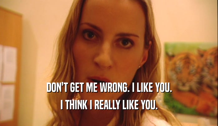 DON'T GET ME WRONG. I LIKE YOU. I THINK I REALLY LIKE YOU. 