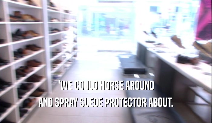 'WE COULD HORSE AROUND
 AND SPRAY SUEDE PROTECTOR ABOUT.
 