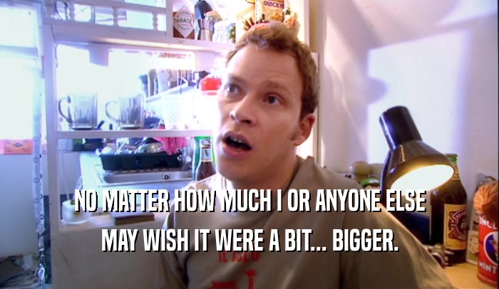 NO MATTER HOW MUCH I OR ANYONE ELSE MAY WISH IT WERE A BIT... BIGGER. 