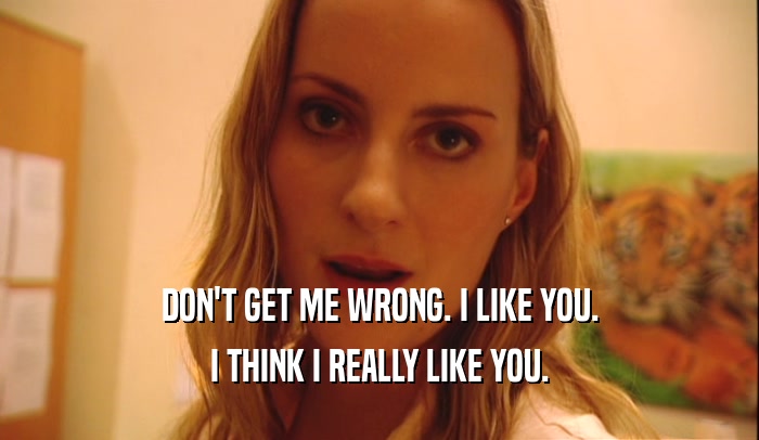 DON'T GET ME WRONG. I LIKE YOU. I THINK I REALLY LIKE YOU. 