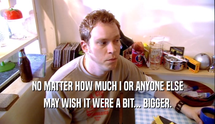 NO MATTER HOW MUCH I OR ANYONE ELSE MAY WISH IT WERE A BIT... BIGGER. 
