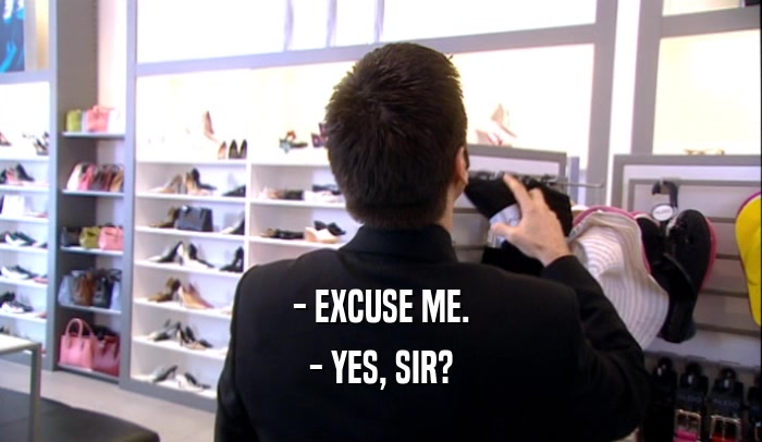 - EXCUSE ME. - YES, SIR? 