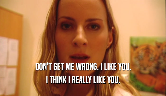DON'T GET ME WRONG. I LIKE YOU. I THINK I REALLY LIKE YOU. 