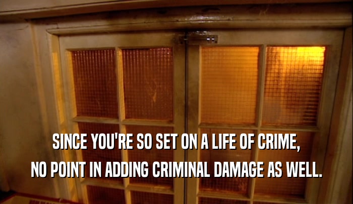 SINCE YOU'RE SO SET ON A LIFE OF CRIME,
 NO POINT IN ADDING CRIMINAL DAMAGE AS WELL.
 