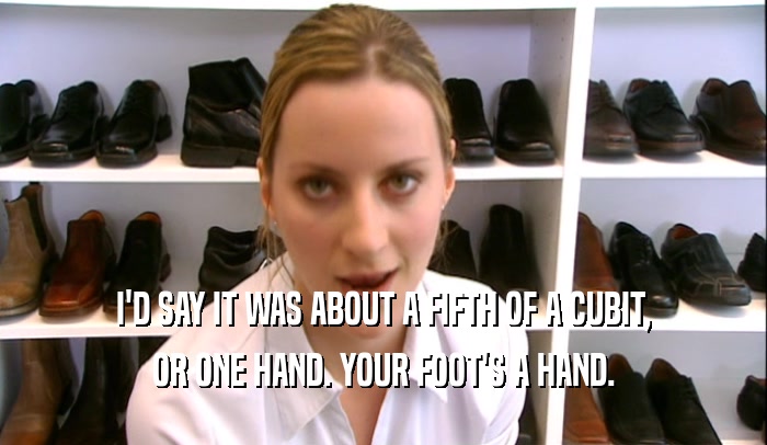 I'D SAY IT WAS ABOUT A FIFTH OF A CUBIT, OR ONE HAND. YOUR FOOT'S A HAND. 