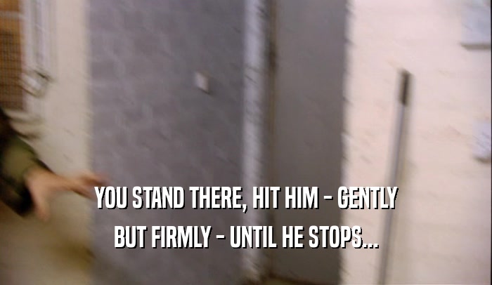 YOU STAND THERE, HIT HIM - GENTLY BUT FIRMLY - UNTIL HE STOPS... 