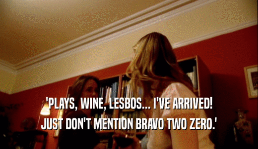 'PLAYS, WINE, LESBOS... I'VE ARRIVED! JUST DON'T MENTION BRAVO TWO ZERO.' 