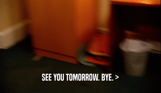 SEE YOU TOMORROW. BYE. >  