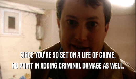 SINCE YOU'RE SO SET ON A LIFE OF CRIME, NO POINT IN ADDING CRIMINAL DAMAGE AS WELL. 