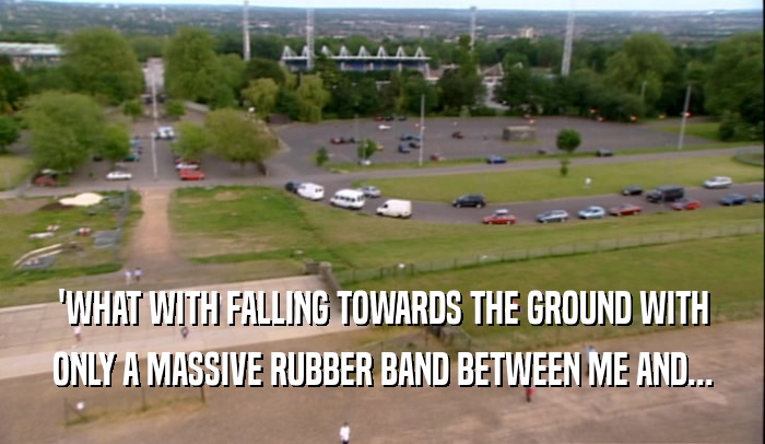 'WHAT WITH FALLING TOWARDS THE GROUND WITH
 ONLY A MASSIVE RUBBER BAND BETWEEN ME AND...
 