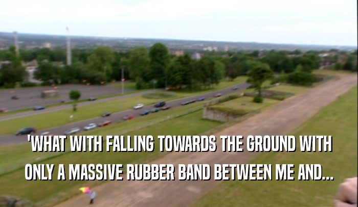'WHAT WITH FALLING TOWARDS THE GROUND WITH
 ONLY A MASSIVE RUBBER BAND BETWEEN ME AND...
 