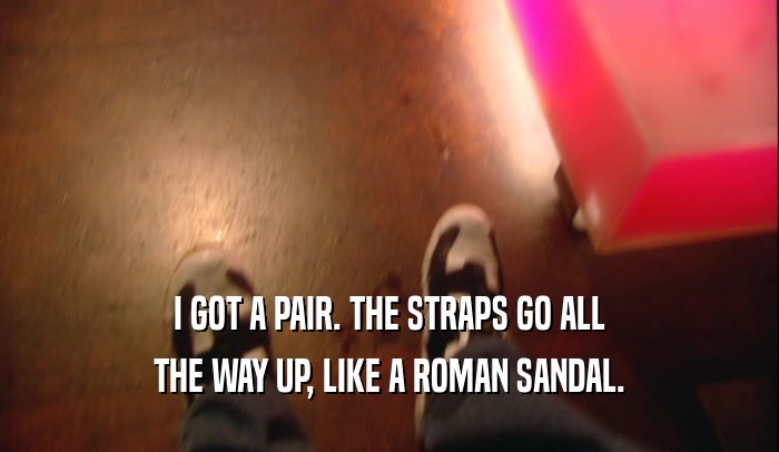 I GOT A PAIR. THE STRAPS GO ALL THE WAY UP, LIKE A ROMAN SANDAL. 