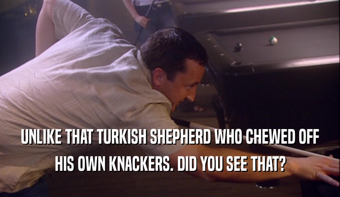 UNLIKE THAT TURKISH SHEPHERD WHO CHEWED OFF HIS OWN KNACKERS. DID YOU SEE THAT? 