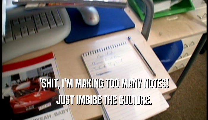 'SHIT, I'M MAKING TOO MANY NOTES!
 JUST IMBIBE THE CULTURE.
 