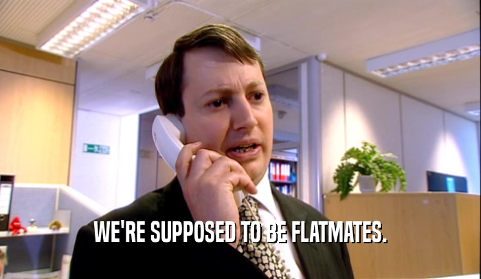 WE'RE SUPPOSED TO BE FLATMATES.  