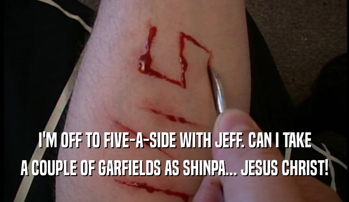 I'M OFF TO FIVE-A-SIDE WITH JEFF. CAN I TAKE
 A COUPLE OF GARFIELDS AS SHINPA... JESUS CHRIST!
 