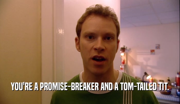 YOU'RE A PROMISE-BREAKER AND A TOM-TAILED TIT.  