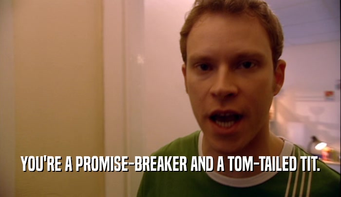 YOU'RE A PROMISE-BREAKER AND A TOM-TAILED TIT.  