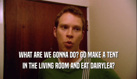 WHAT ARE WE GONNA DO? GO MAKE A TENT IN THE LIVING ROOM AND EAT DAIRYLEA? 