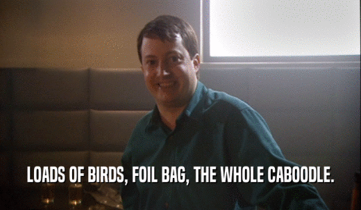 LOADS OF BIRDS, FOIL BAG, THE WHOLE CABOODLE.  