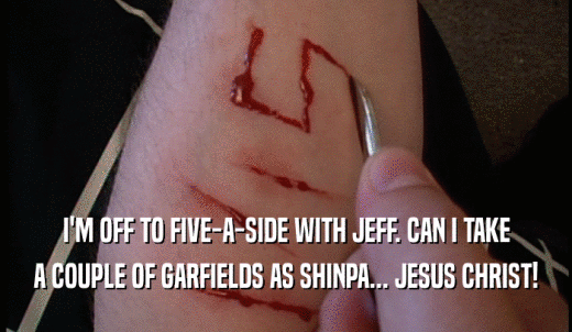 I'M OFF TO FIVE-A-SIDE WITH JEFF. CAN I TAKE A COUPLE OF GARFIELDS AS SHINPA... JESUS CHRIST! 
