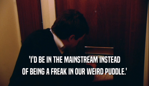 'I'D BE IN THE MAINSTREAM INSTEAD OF BEING A FREAK IN OUR WEIRD PUDDLE.' 