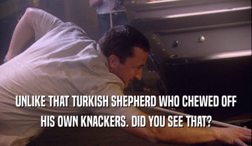 UNLIKE THAT TURKISH SHEPHERD WHO CHEWED OFF HIS OWN KNACKERS. DID YOU SEE THAT? 