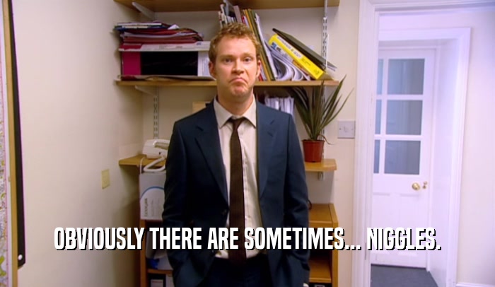 OBVIOUSLY THERE ARE SOMETIMES... NIGGLES.  