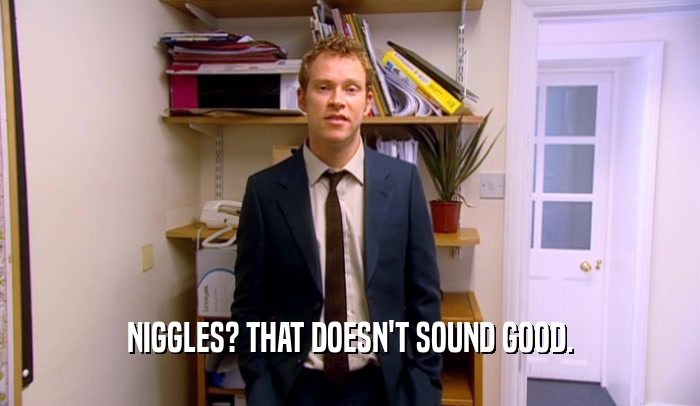NIGGLES? THAT DOESN'T SOUND GOOD.  