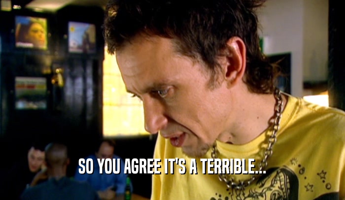 SO YOU AGREE IT'S A TERRIBLE...  