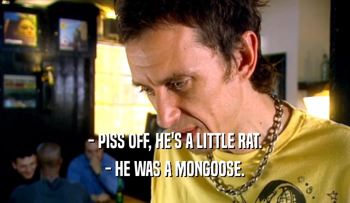 - PISS OFF, HE'S A LITTLE RAT. - HE WAS A MONGOOSE. 