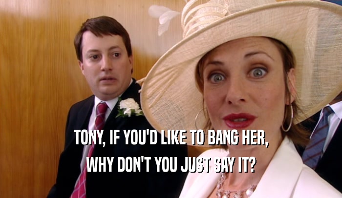 TONY, IF YOU'D LIKE TO BANG HER, WHY DON'T YOU JUST SAY IT? 