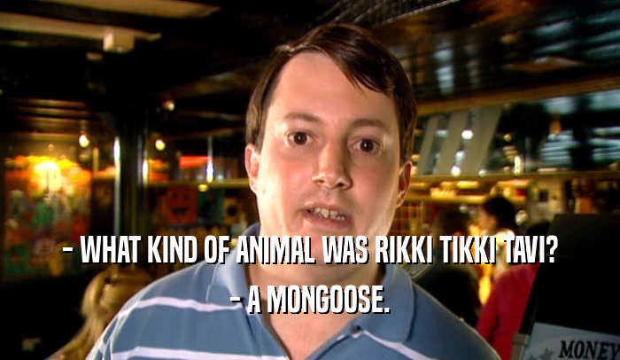 - WHAT KIND OF ANIMAL WAS RIKKI TIKKI TAVI? - A MONGOOSE. 