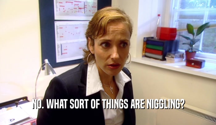 NO. WHAT SORT OF THINGS ARE NIGGLING?  