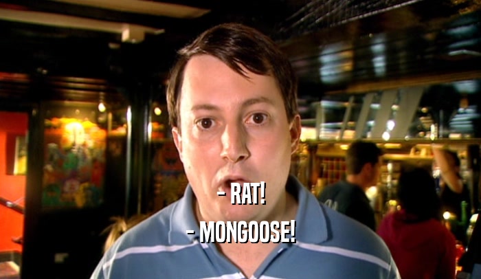 - RAT! - MONGOOSE! 