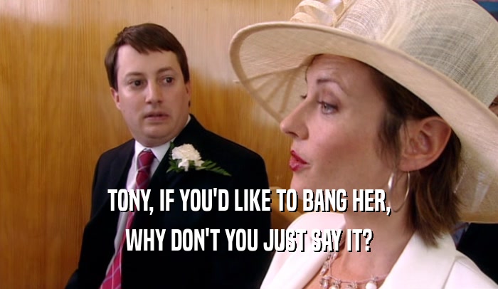 TONY, IF YOU'D LIKE TO BANG HER, WHY DON'T YOU JUST SAY IT? 
