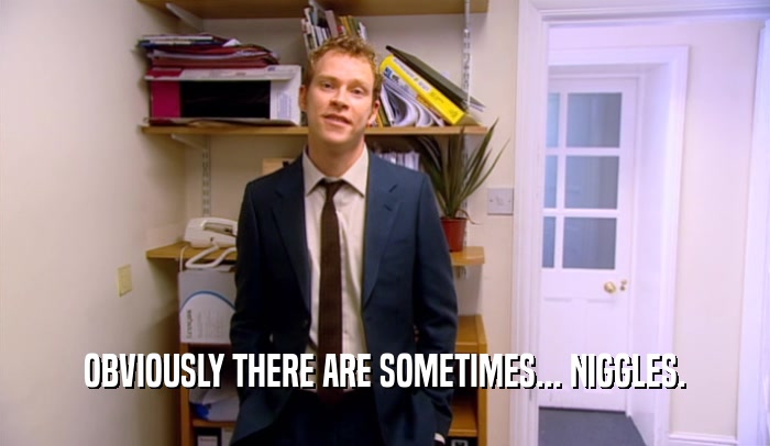 OBVIOUSLY THERE ARE SOMETIMES... NIGGLES.  