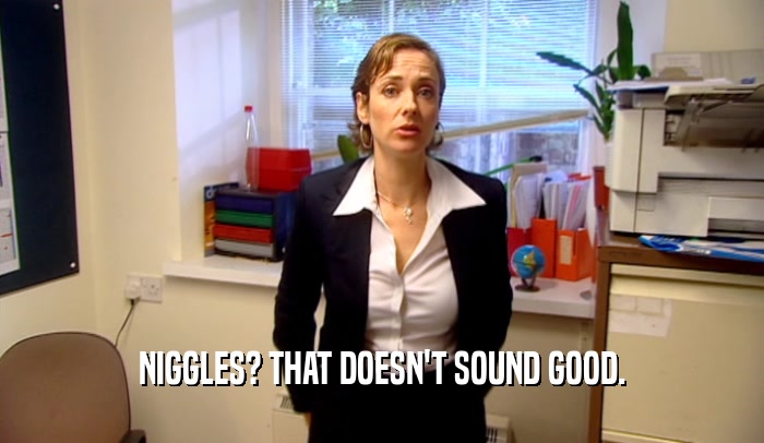NIGGLES? THAT DOESN'T SOUND GOOD.  