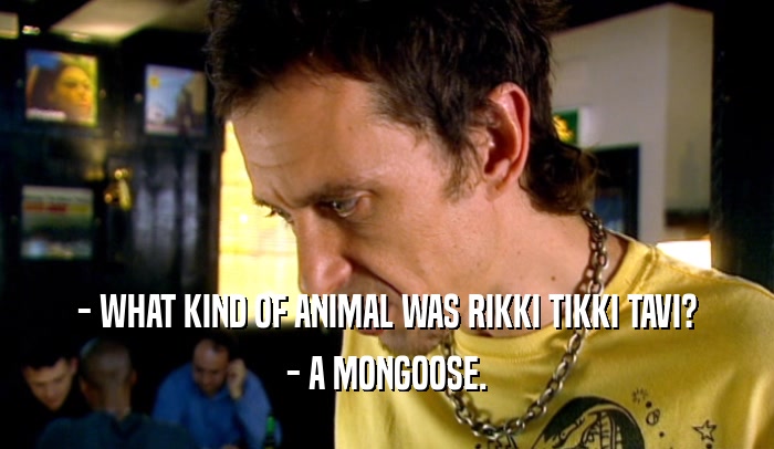 - WHAT KIND OF ANIMAL WAS RIKKI TIKKI TAVI? - A MONGOOSE. 