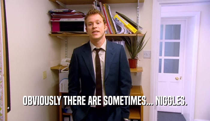 OBVIOUSLY THERE ARE SOMETIMES... NIGGLES.  