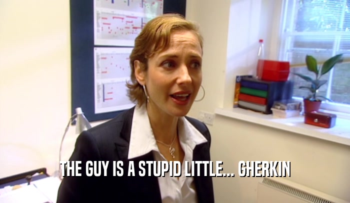 THE GUY IS A STUPID LITTLE... GHERKIN  