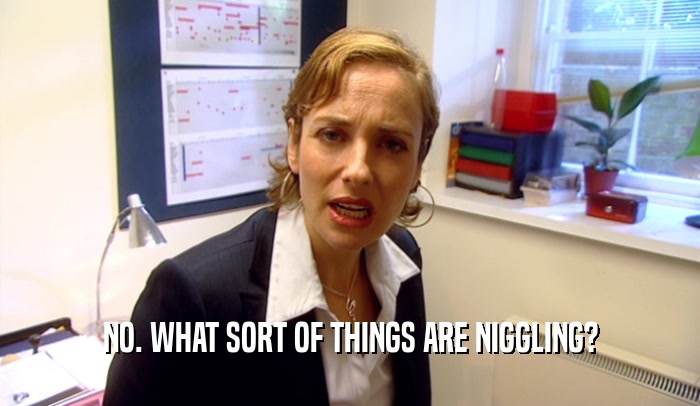 NO. WHAT SORT OF THINGS ARE NIGGLING?  
