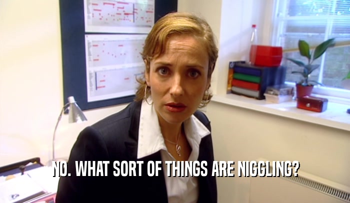 NO. WHAT SORT OF THINGS ARE NIGGLING?  