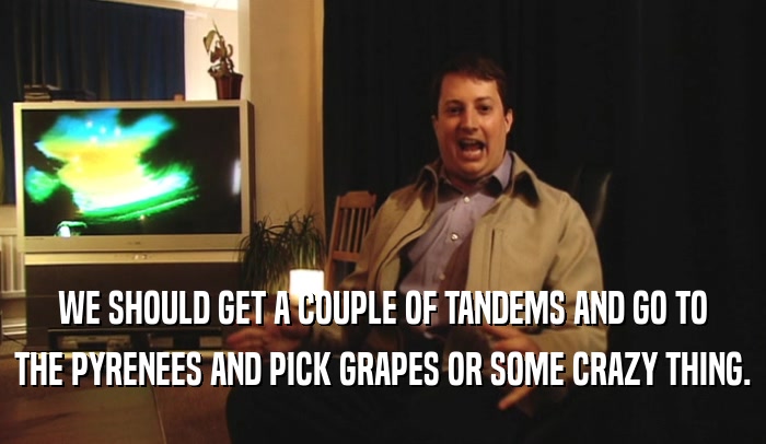 WE SHOULD GET A COUPLE OF TANDEMS AND GO TO THE PYRENEES AND PICK GRAPES OR SOME CRAZY THING. 