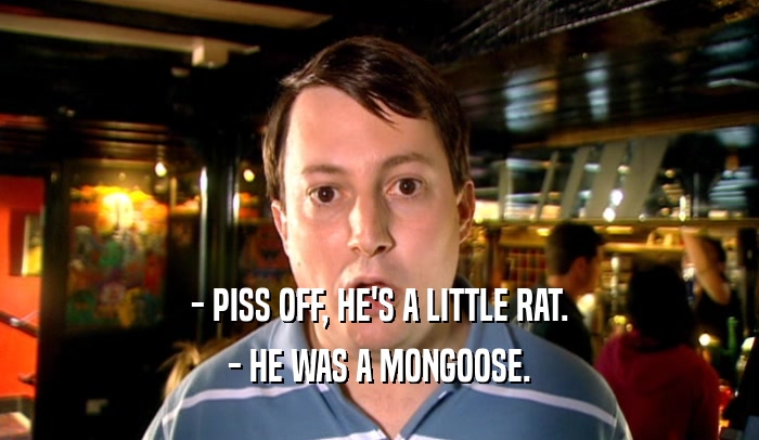 - PISS OFF, HE'S A LITTLE RAT. - HE WAS A MONGOOSE. 