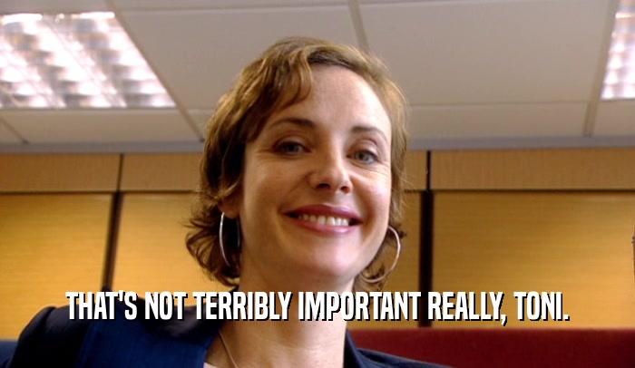 THAT'S NOT TERRIBLY IMPORTANT REALLY, TONI.  